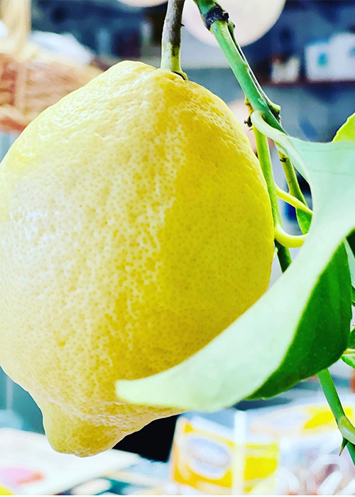 limoni 700x500